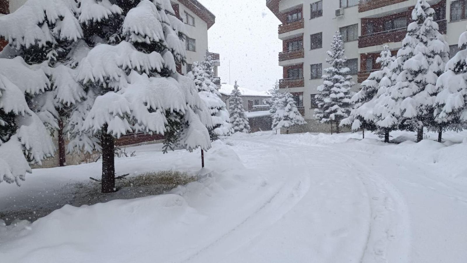 בנסקו Apartment Detelina Residence מראה חיצוני תמונה